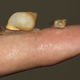 Illustration for article titled These Tiny Snails Are So Small They Look Like Cute Little Boogers